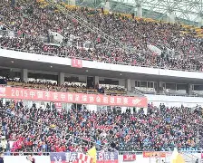 重庆力帆俱乐部官网