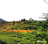 榆林华安遭遇困境，士气低迷待振作()