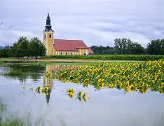 卢森堡客场逼平斯洛文尼亚，欧预赛预期失准()