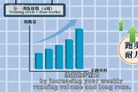 桑德兰近况回暖，积极备战下一场比赛()