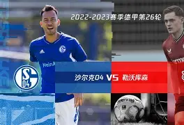 沙尔克vs科隆完整视频