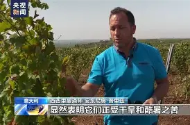 伯恩茅斯遭遇失利，降级危机愈发严重()