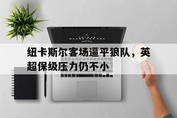 纽卡斯尔客场逼平狼队,英超保级压力仍不小() 纽卡斯尔客场逼平狼队,英超保级压力仍不小()